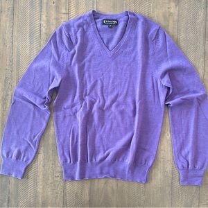 Express Purple V-Neck Sweater Long Sleeve